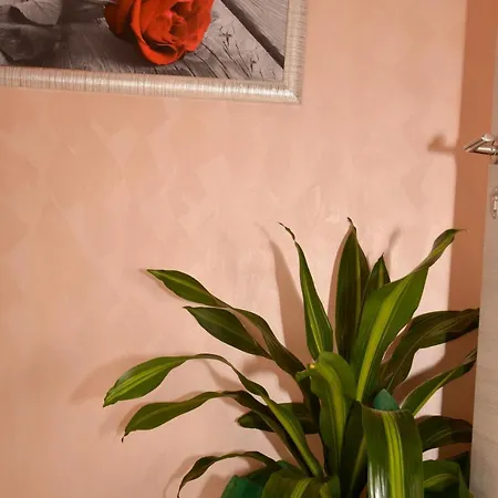 Innitaly Affittacamere Roma