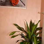 Innitaly O Gæstehus Rom